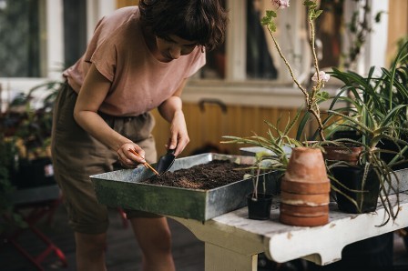 Jak projektując ogród stworzyć w nim raj dla pszczół?